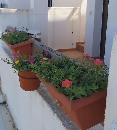 阿尔阿马德穆尔西亚Condado De Alhama, Naranjos 8公寓 外观 照片