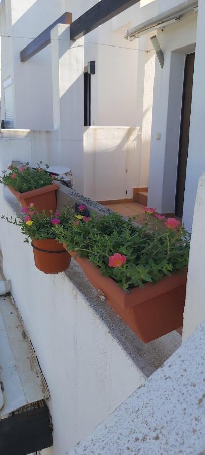 阿尔阿马德穆尔西亚Condado De Alhama, Naranjos 8公寓 外观 照片